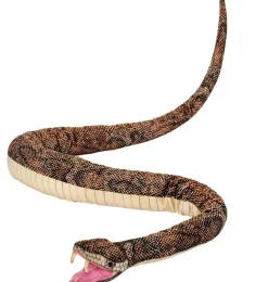 Hansa knuffels Hansa Creation Python Cuddly Snake* Other Stuffed Animals